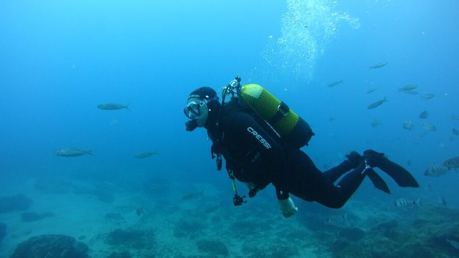 Tenerife: Discover Scuba Diving with Free Photos - Key highlights