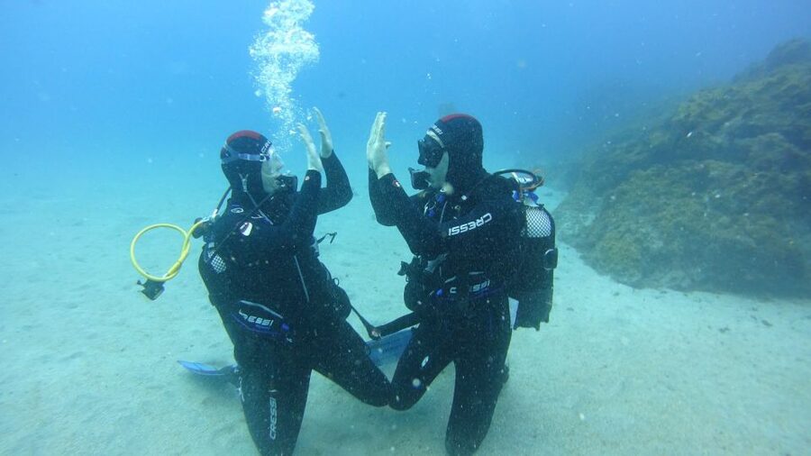 Tenerife: Discover Scuba Diving with Free Photos - From calm water to a max of 12 meters
