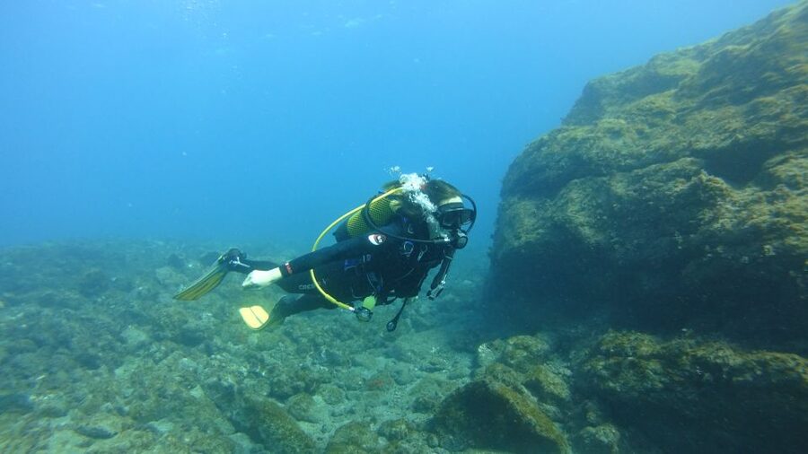 Tenerife: Discover Scuba Diving with Free Photos - The Tenerife underwater show: volcanic rock and marine life