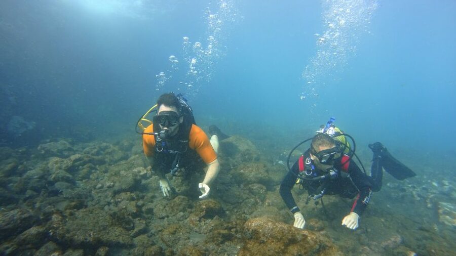 Tenerife: Discover Scuba Diving with Free Photos - What is included in the price, and what you should plan for