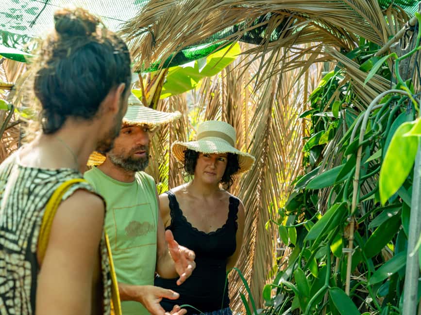 Tenerife: Discover the only vanilla cultivation in Canaries - Key things I’d circle before you go