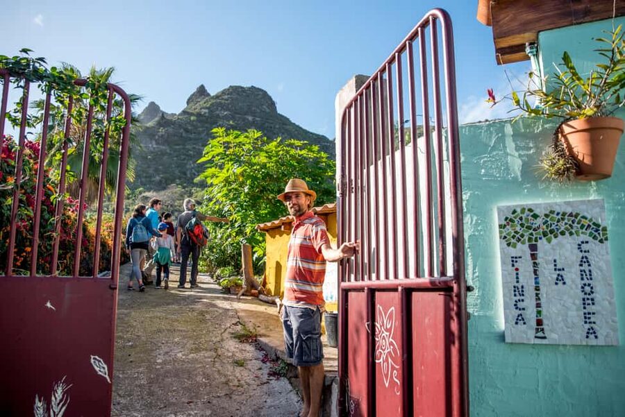Tenerife: Discover the only vanilla cultivation in Canaries - Finca La Canopea and the Canaries’ only vanilla plot