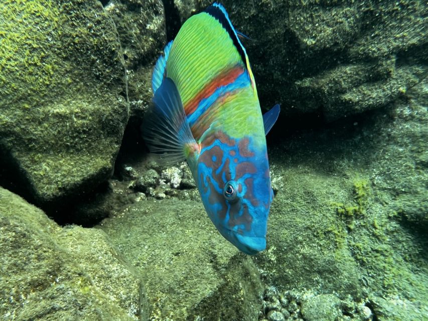 Tenerife : Diving License international in one day - Abades Tenerife and the one-day plan that actually works