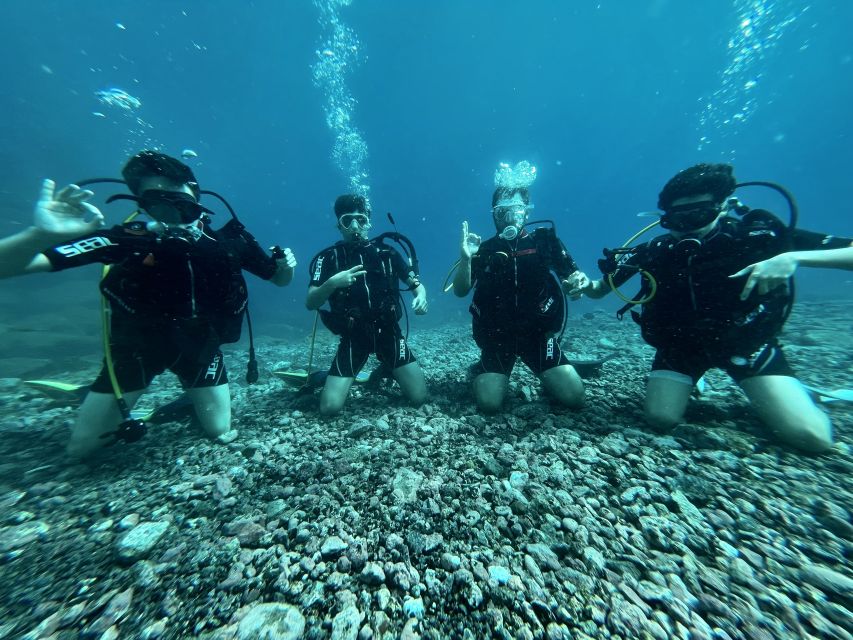 Tenerife : Diving License international in one day - First skills: weights, buoyancy, equalizing, and safe resurfacing
