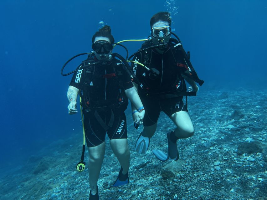 Tenerife : Diving License international in one day - The underwater experience in Abades: fish, turtles, and reefs