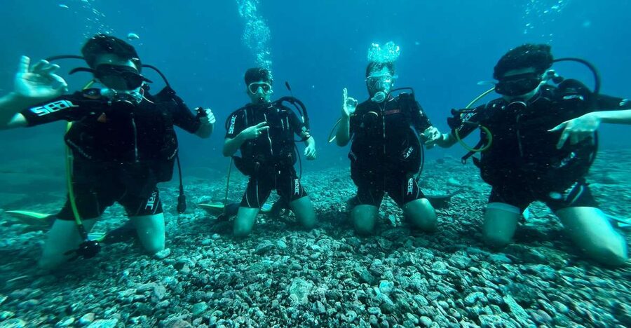Tenerife : Diving License international in one day - Gear, neoprene, tank, photos, and insurance included