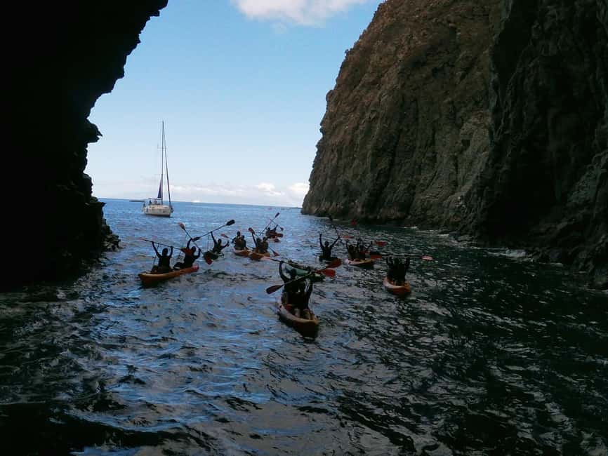 Tenerife: Eco Kayak & Snorkeling - Kayaking the coast and gliding through a marine reserve
