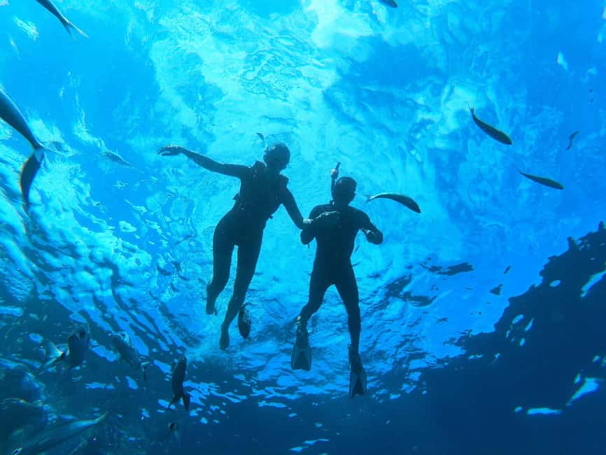 Tenerife: Eco Kayak & Snorkeling - The snorkeling stop: optional, flexible, and gear included