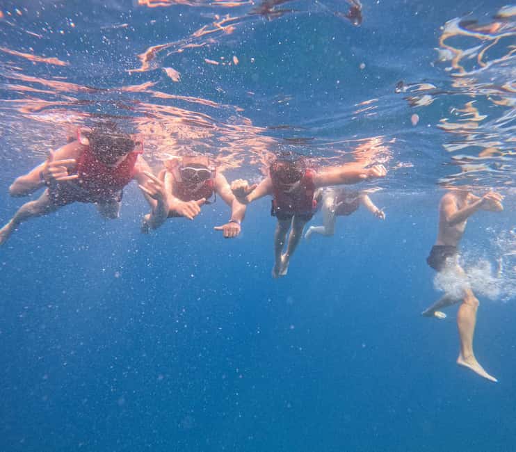 Tenerife: Eco Kayak & Snorkeling - Price and value: what $41 covers in real terms