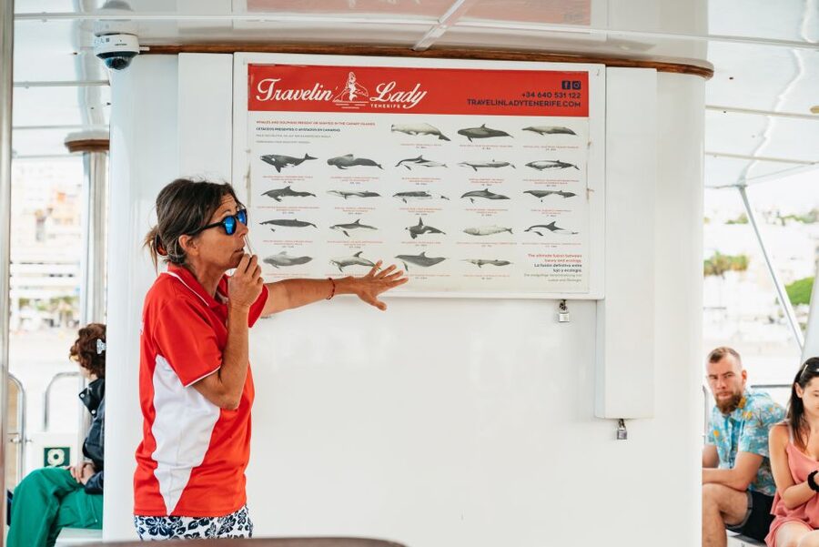 Tenerife: Eco-Yacht Whale and Dolphin Watching and Swimming - Ethical watching, real comfort, and why these details matter
