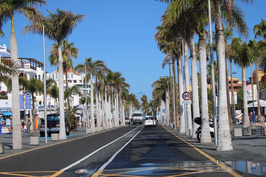 Tenerife: El Medano Self-Drive Slingshot Tour - What to bring to actually enjoy the day
