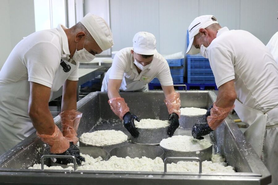 Tenerife - Farm Tour with Cheese Tasting - Where this farm tour fits best on your Tenerife trip