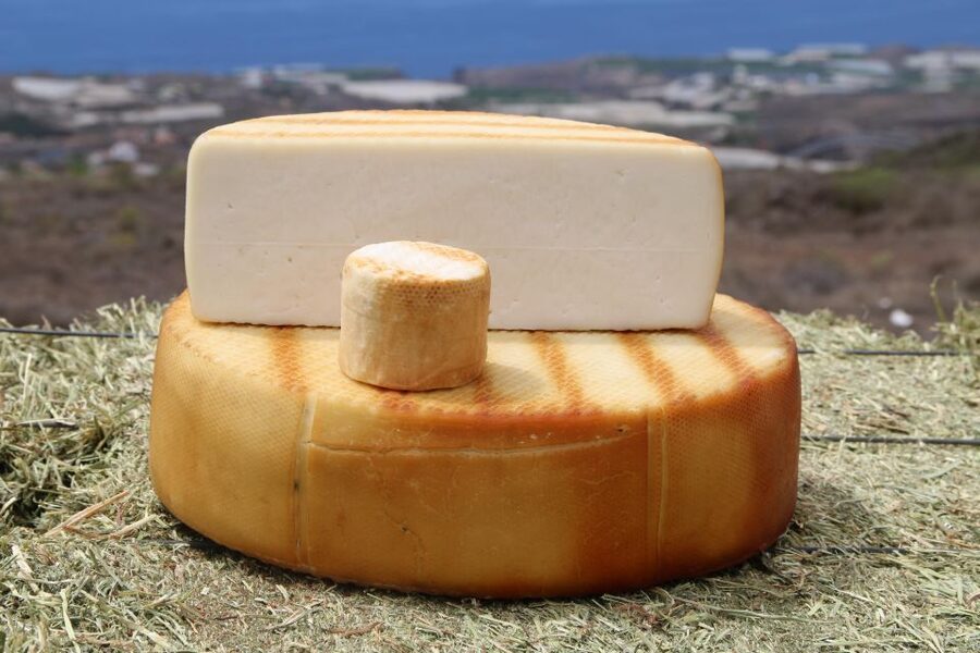 Tenerife - Farm Tour with Cheese Tasting - Quesería Montesdeoca: meeting the goats before the cheese