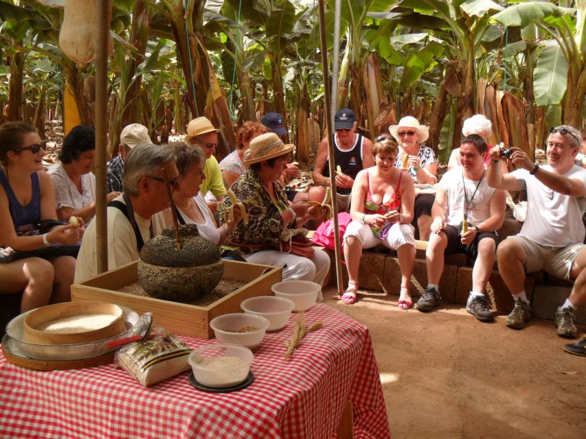 Tenerife: Finca Las Margaritas Banana Plantation Experience - Price and Value: Is It Worth $11?