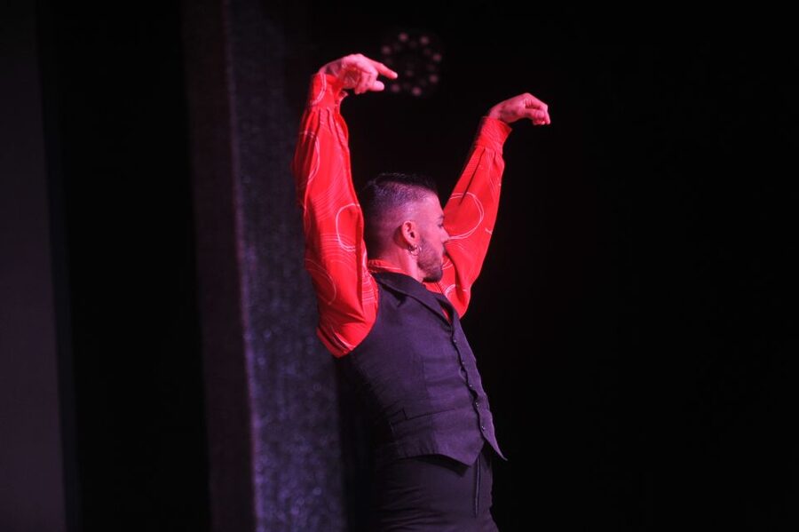 Tenerife: Flamenco Performance at Teatro Coliseo - Who This Fits Best (and Who Might Want Another Option)