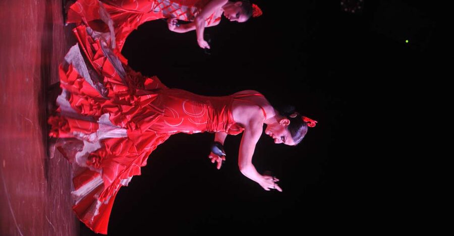 Tenerife: Flamenco Performance at Teatro Coliseo - VIP vs Standard: Drinks and Front-Row Worth It?