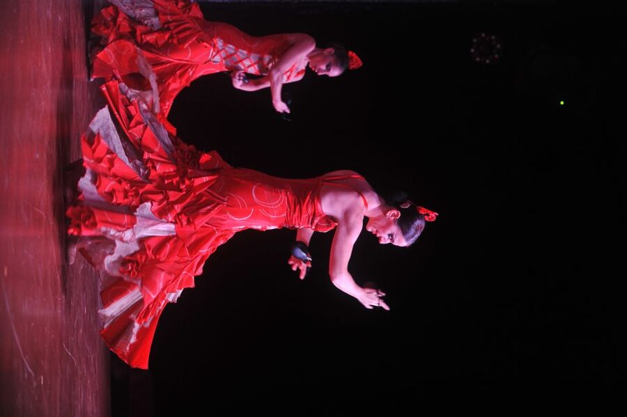 Tenerife: Flamenco Performance at Teatro Coliseo - The Venue Experience: Parking, Atmosphere, and What Helps Your View