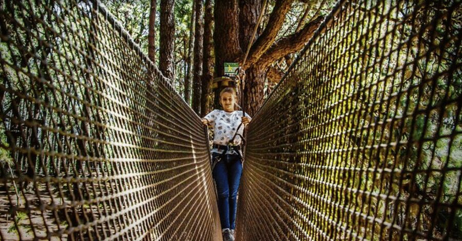 Tenerife: Forestal Park Tenerife Entry Ticket - Key highlights worth your attention