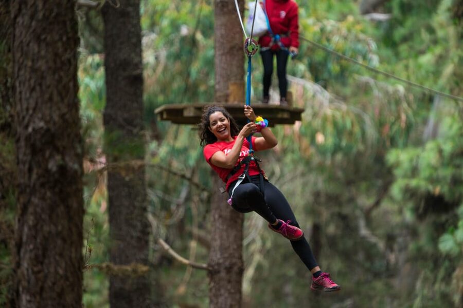 Tenerife: Forestal Park Tenerife Entry Ticket - Forestal Park Tenerife: a treetop adventure near Teide