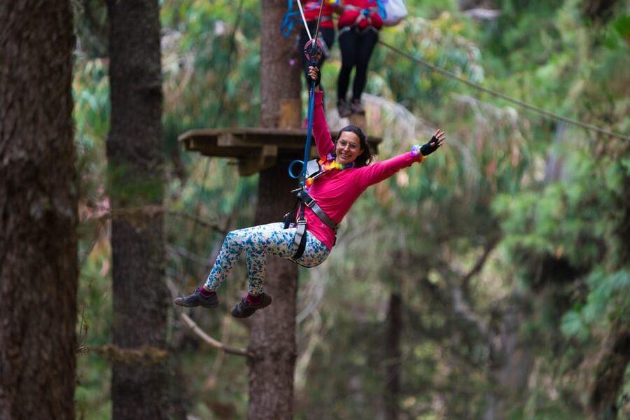 Tenerife: Forestal Park Tenerife Entry Ticket - Tarzan Swings and giant zip lines, when the fun turns loud