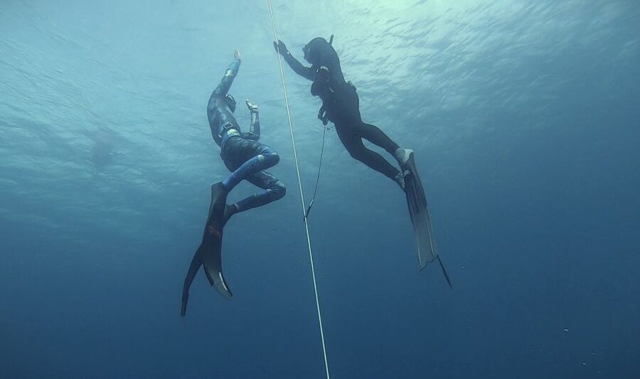 Tenerife: Freediving Discovery Course - Classroom basics: what you learn in the 1.5 to 2 hour theory session