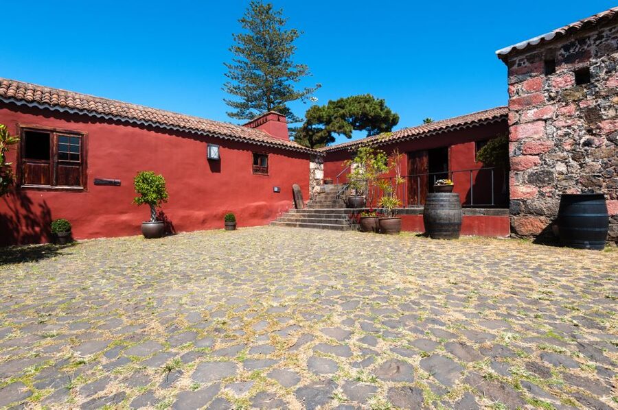 Tenerife: Full-Day Gastronomy and Wine Tour - Wine pairing, explained in plain terms: how to taste without overthinking