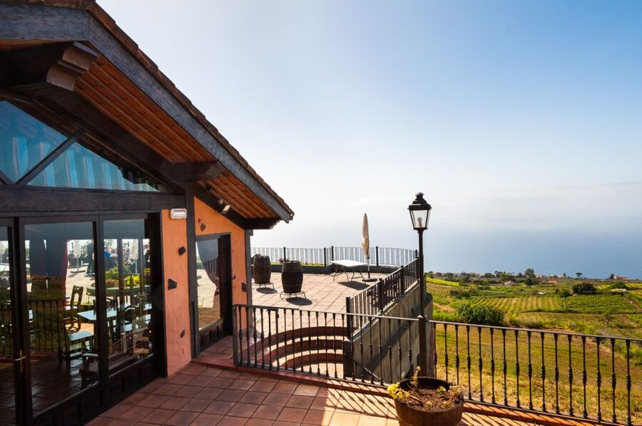 Tenerife: Full-Day Gastronomy and Wine Tour - Coach ride reality: timing, group size, and comfort