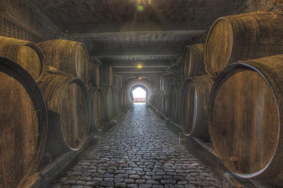 Tenerife: Full-Day Gastronomy and Wine Tour - Price and value at about $97: what you’re paying for