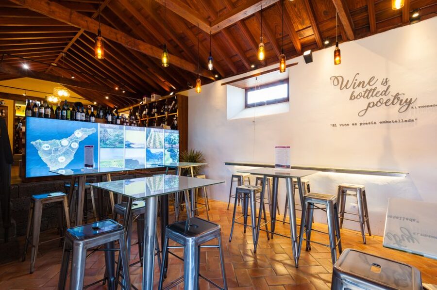 Tenerife: Full-Day Gastronomy and Wine Tour - Should you book the Tenerife Full-Day Gastronomy and Wine Tour?