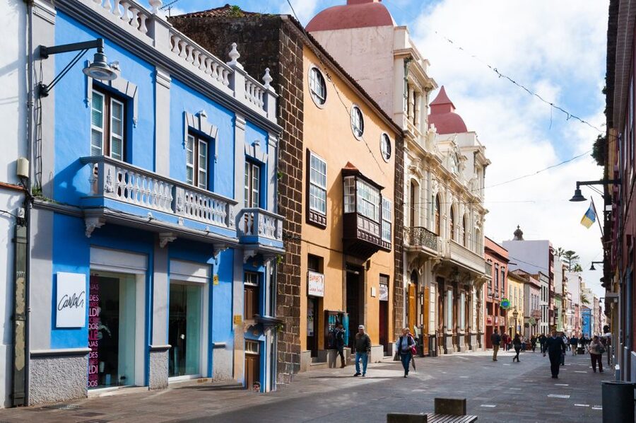 Tenerife: Full-Day Gastronomy and Wine Tour - Bodegas Monje: 4-course Canary lunch with ocean views and cellar time