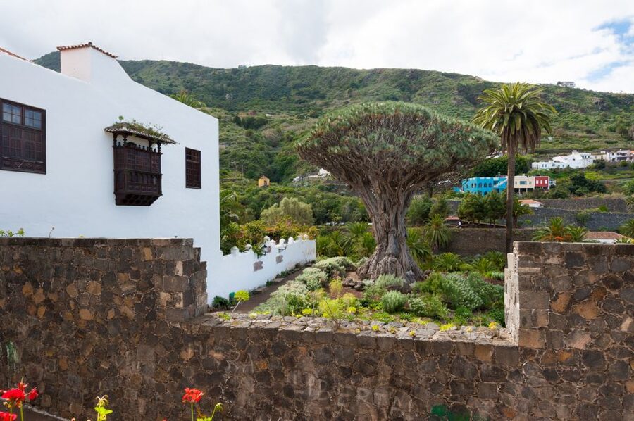 Tenerife: Full-Day Guided Island Tour - Why this Tenerife loop is a smart first-day plan