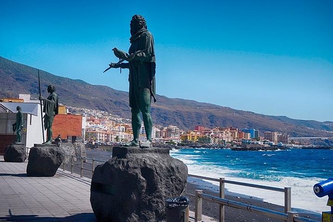 Tenerife Full Island Tour - Parque del Drago in Icod de los Vinos: the dragon tree moment