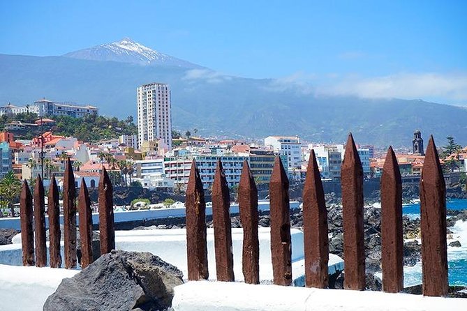 Tenerife Full Island Tour - Puerto de la Cruz lunch break: where to eat and what to do with time