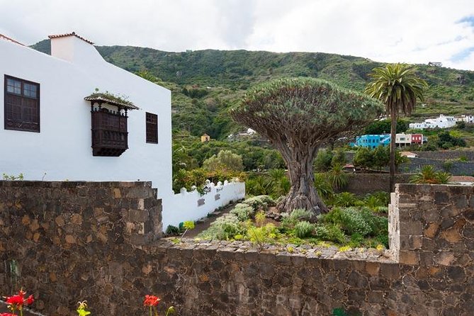 Tenerife Full Island Tour - La Orotava Valley pass: bananas, vines, and mountain views