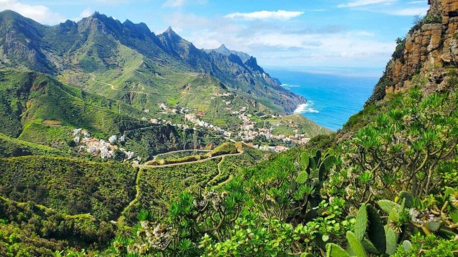 Tenerife: Full Private Island Tour, with departures from the south and north - Where Anaga fits: northeast variety on the island loop