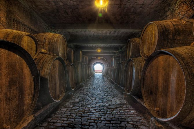 Tenerife Gastronomy Tour with Two Winery Visits and 4-Course Lunch - Who this tour suits best
