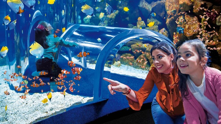 Tenerife: Gran Canaria Full-Day Guided Tour with Aquarium - FAQ