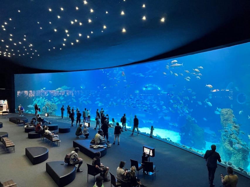 Tenerife: Gran Canaria Full-Day Guided Tour with Aquarium - Should you book? My decision guide