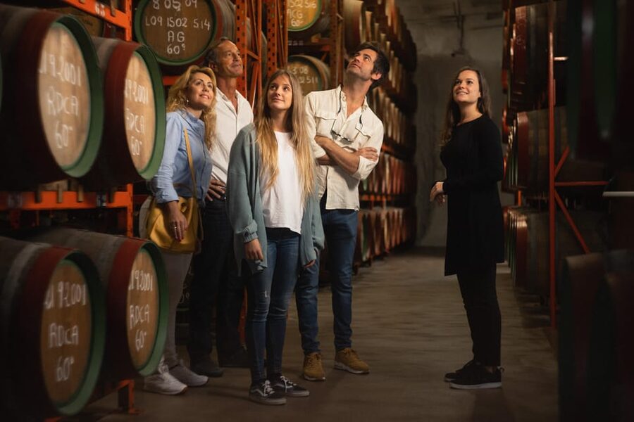 Tenerife: Gran Canaria Full-Day Guided Tour with Aquarium - Destilería Arehucas: rum tasting with real cellar weight