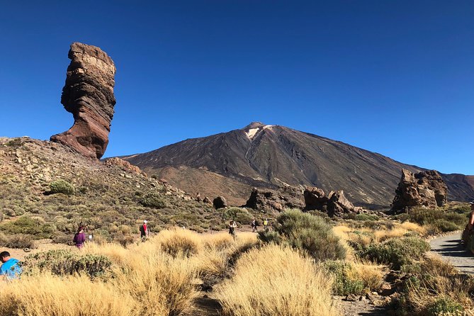 Tenerife Grand Tour: including Teide National Park and Masca - Icod de los Vinos and Drago Milenario: your calm, shaded pause
