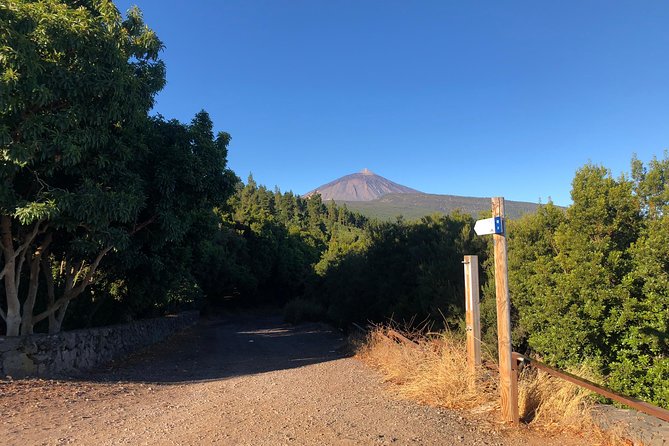 Tenerife Grand Tour: including Teide National Park and Masca - Hotel pickup and the morning reality check