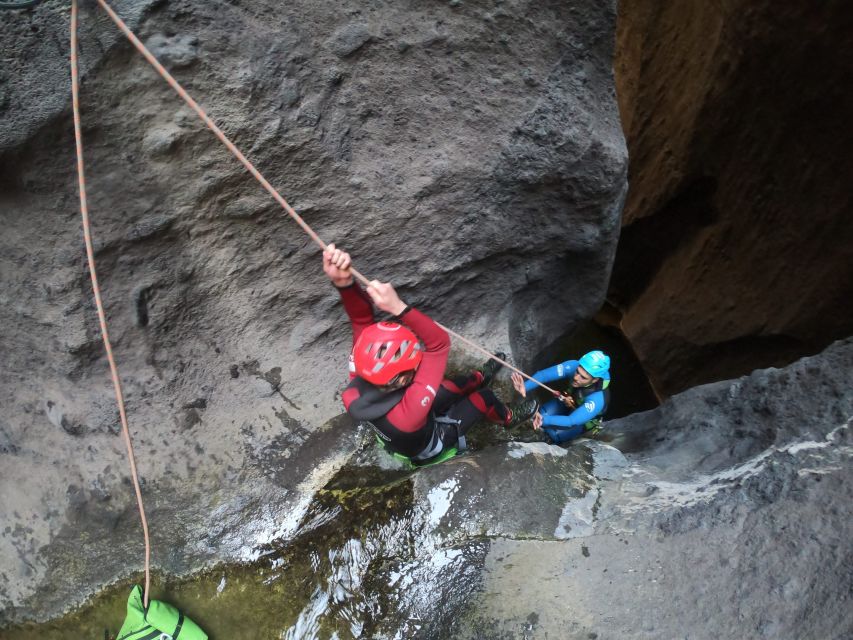 Tenerife: Guided Canyoning Experience - Price in context: is $135 good value?