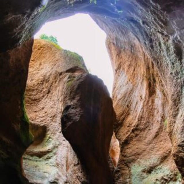 Tenerife: Guided Canyoning Experience in Los Arcos - Value for $82: what you get for your money