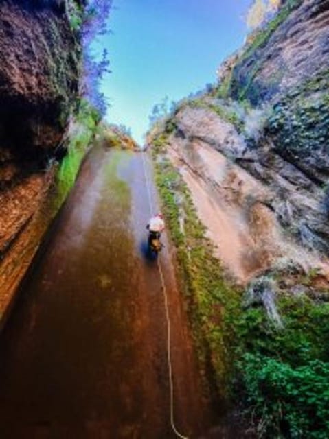 Tenerife: Guided Canyoning Experience in Los Arcos - What Los Arcos teaches you: erosion, volcanic geology, and local plants