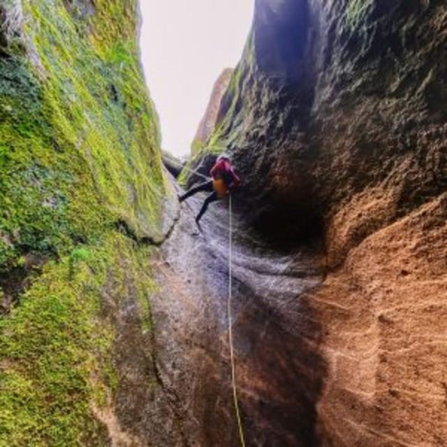 Tenerife: Guided Canyoning Experience in Los Arcos - Group size and guides: why this feels safer than it sounds