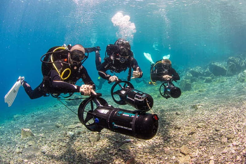 Tenerife: Guided Dive and Scooter Experience - What you will see: colorful fish, marine life, and better viewing time