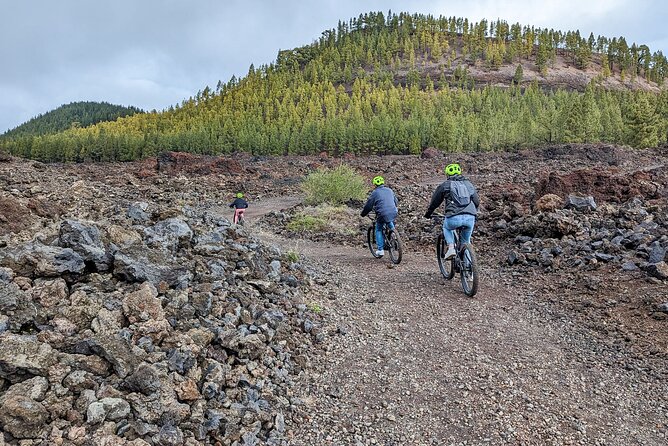 Tenerife: Guided Electric Mountain Bike Volcano Tour - Stop 1: Teide National Park and the Big-View Effect