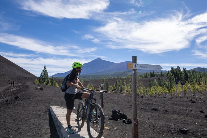 Tenerife: Guided Electric Mountain Bike Volcano Tour - Pine Forest Sections and the Changes That Make the Day Fun