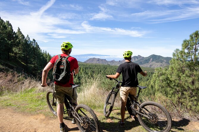 Tenerife: Guided Electric Mountain Bike Volcano Tour - Bike Quality, Helmet and Gloves, and Why Suspension Matters