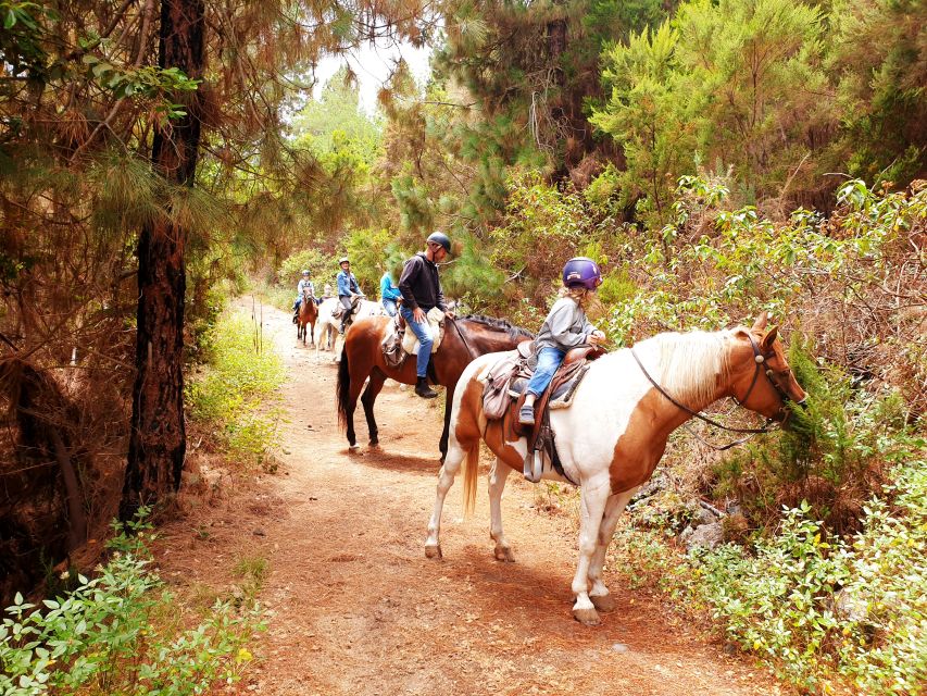 Tenerife: Guided Horseback Riding Tour to the Lomo Forest - Key Things I’d Bet You’ll Care About